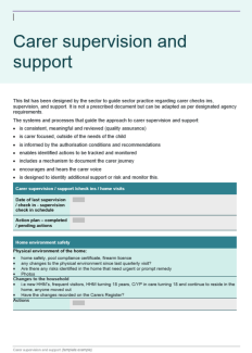 Carer supervision and support template preview image