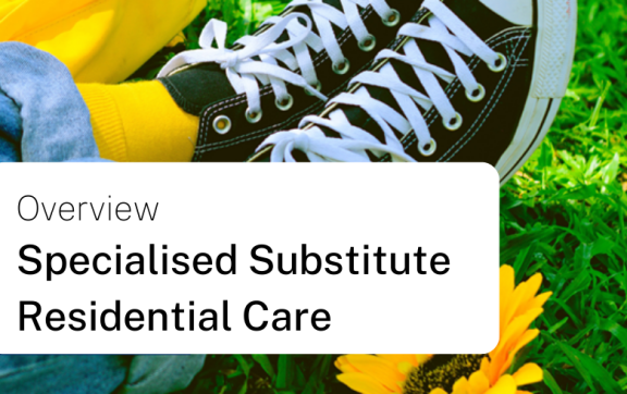 Specialised substitute residential care overview